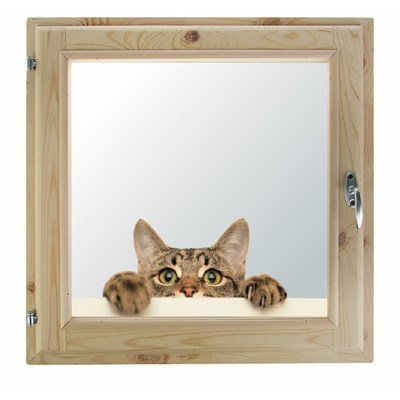 Окно 100х100 см, "Кошак", двойной стеклопакет, уплотнитель, хвоя, "Добропаровъ" - фото 2066153