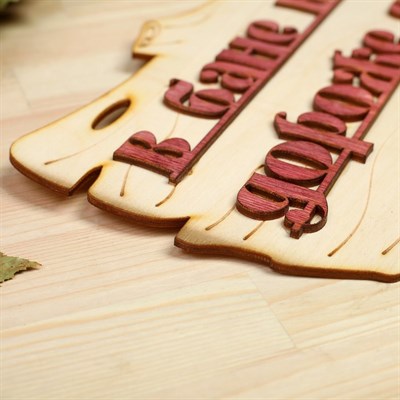 Табличка для бани "В бане веник дороже денег" 30х17см - фото 2071140