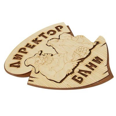 Табличка 2-слойная "Директор бани", 25х27см - фото 2071166