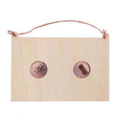 Термогигрометр "Любимая банька", 17 х 11 см - фото 2073096