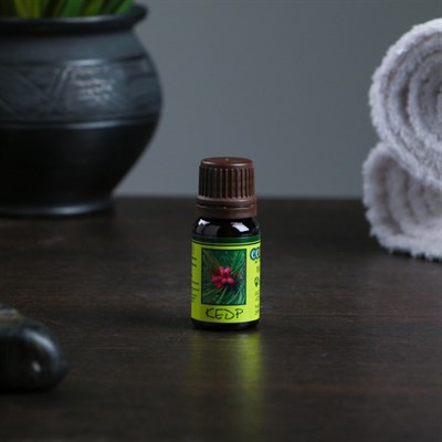 Эфирное масло "Кедровое" в индивидуальной упаковке, 10 мл - фото 2074052