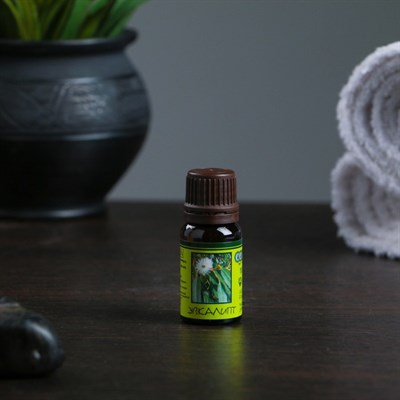 Эфирное масло Эвкалипта в индивидуальной упаковке 10 мл - фото 2074087