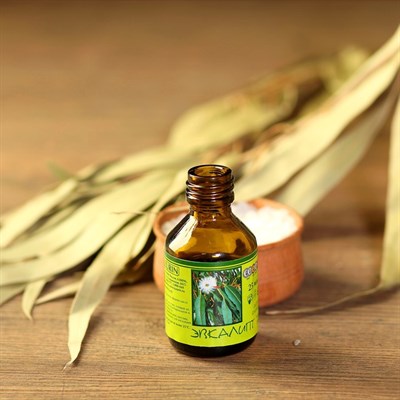 Эфирное масло Эвкалипта в индивидуальной упаковке 25 мл - фото 2074090