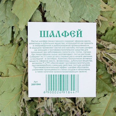 Веник для бани ЭКСТРА из кавказского дуба с шалфеем - фото 2074659