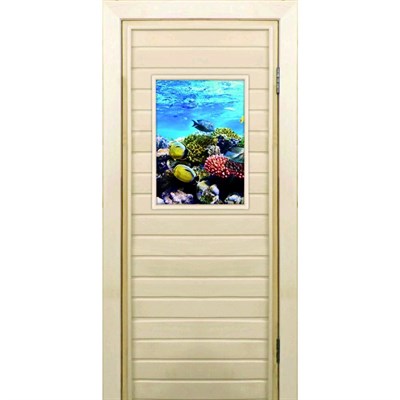 Дверь для бани со стеклом (40*60), "Кораллы-2", 170×70см, коробка из осины - фото 2079754