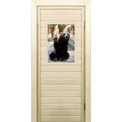 Дверь для бани со стеклом (40*60), "Медведь-3", 170×70см, коробка из осины - фото 2079769