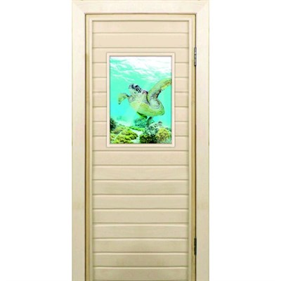 Дверь для бани со стеклом (40*60), "Черепаха-1", 170×70см, коробка из осины - фото 2079787