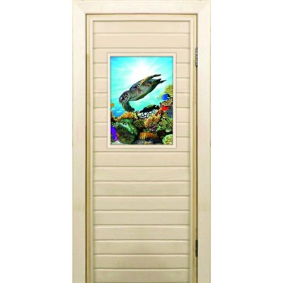 Дверь для бани со стеклом (40*60), "Черепаха-2", 170×70см, коробка из осины - фото 2080031