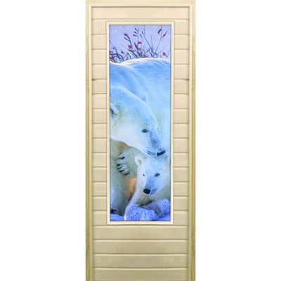Дверь для бани со стеклом (43*129), "Белые медведи", 170×70см, коробка из осины - фото 2080206