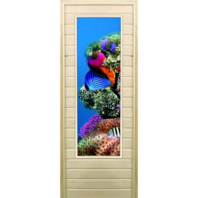 Дверь для бани со стеклом (43*129), "Кораллы-1", 170×70см, коробка из осины - фото 2080227