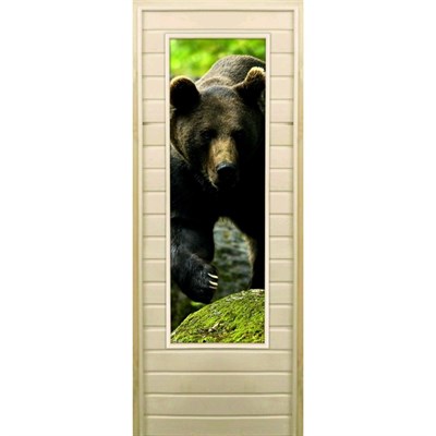 Дверь для бани со стеклом (43*129), "Медведь-1", 170×70см, коробка из осины - фото 2080245
