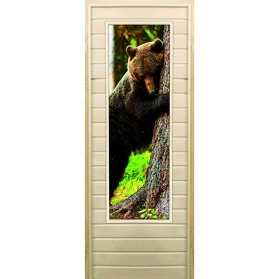 Дверь для бани со стеклом (43*129), "Медведь-4", 170×70см, коробка из осины - фото 2080251