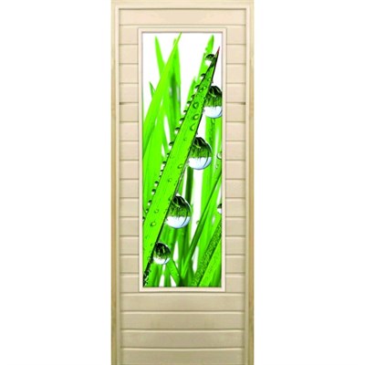 Дверь для бани со стеклом (43*129), "Капли", 170×70см, коробка из осины - фото 2080266