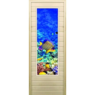 Дверь для бани со стеклом (43*129), "Кораллы-3", 170×70см, коробка из осины - фото 2080281