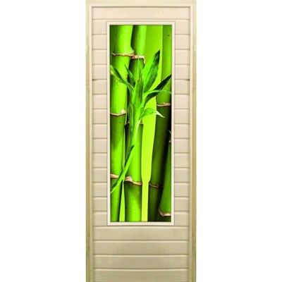 Дверь для бани со стеклом (43*129), "Бамбук-2", 170×70см, коробка из осины - фото 2080302