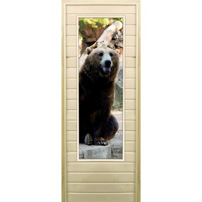 Дверь для бани со стеклом (43*129), "Медведь-5", 170×70см, коробка из осины - фото 2080308