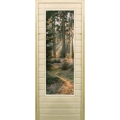 Дверь для бани со стеклом (43*129), "Хвойный лес", 170×70см, коробка из осины - фото 2080327