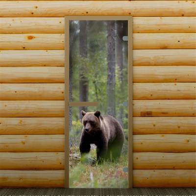 Дверь для бани и сауны "Мишка в лесу", 190 х 70 см, с фотопечатью 8 мм Добропаровъ - фото 2080335