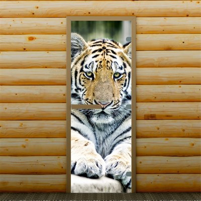 Дверь для бани и сауны "Тигр", 190 х 70 см, с фотопечатью 8 мм Добропаровъ - фото 2080348