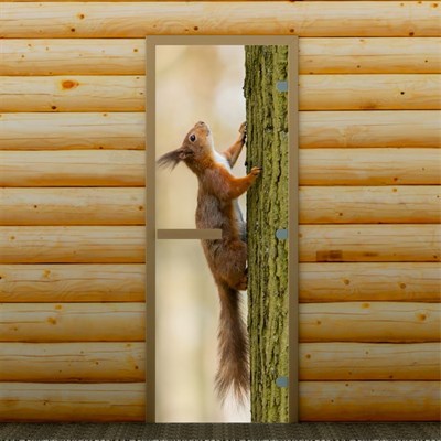 Дверь для бани и сауны "Белка на дереве", 190 х 70 см, с фотопечатью 8 мм Добропаровъ - фото 2080356