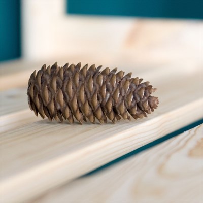 Стеллаж деревянный "Рондо-1" усиленный регулируемый, с 5 полками, 180х84х28см - фото 796605