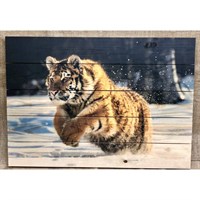 Картина для бани "Тигр", МАССИВ, 60×40 см