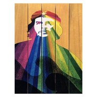 Картина для бани "Че Гевара в радужных цветах", МАССИВ, 40×30 см