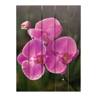 Картина для бани, тематика цветы "Орхидеи", МАССИВ, 40×30 см