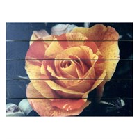 Картина для бани, тематика цветы "Оранжевая роза", МАССИВ, 40×30 см