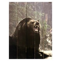 Картина для бани, тематика животные "Медвежий рык", МАССИВ, 40×30 см