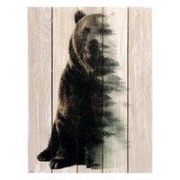 Картина для бани, тематика животные "Хозяин леса", МАССИВ, 40×30 см