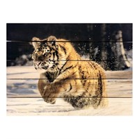 Картина для бани, тематика животные &quot;Тигр в поле&quot;, МАССИВ, 40×30 см