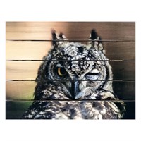 Картина для бани, тематика животные "Сова подмигивает", МАССИВ, 40×30 см