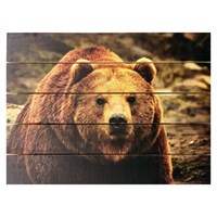 Картина для бани, тематика животные "Медведь бурый", МАССИВ, 40×30 см