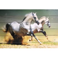 Картина для бани &quot;Бегущие белые лошади&quot;, МАССИВ, 40×60 см