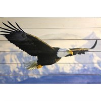 Картина для бани &quot;Парящий горный орел&quot;, МАССИВ, 40×60 см