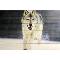 Картина для бани &quot;Волк в снегу&quot;, МАССИВ, 40×60 см