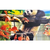 Картина для бани "Панда, висящая на заборе", МАССИВ, 40×60 см