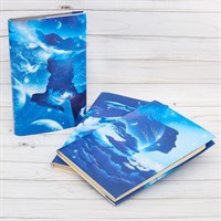 Набор обложек для книг «Космос», 3 шт, 43×24 см