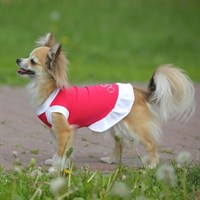 Платье OSSO для собак «Красотка», размер 20, микс цветов