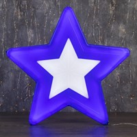 Фигура уличная &quot;Звезда сине-белая&quot;, 58х58х4 см, пластик, 220В, 3 м провод, контр. 8р.