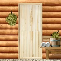 Дверь для бани "Эконом", 160×70см