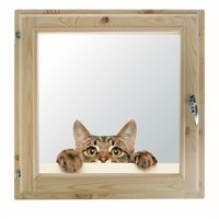Окно 100х100 см, "Кошак", двойной стеклопакет, уплотнитель, хвоя, "Добропаровъ"