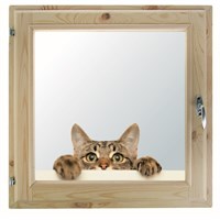 Окно, 50×60см, &quot;Кошак&quot;, двойной стеклопакет, с уплотнителем, &quot;Добропаровъ&quot;