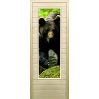 Дверь для бани со стеклом (43*129), &quot;Медведь-1&quot;, 170×70см, коробка из осины