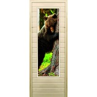 Дверь для бани со стеклом (43*129), &quot;Медведь-4&quot;, 170×70см, коробка из осины