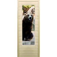 Дверь для бани со стеклом (43*129), &quot;Медведь-5&quot;, 170×70см, коробка из осины