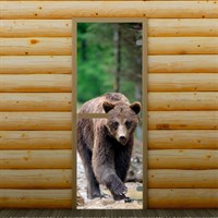 Дверь левое открывание "Бурый медведь", 190 х 70 см, с фотопечатью 6 мм Добропаровъ