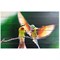 Картина для бани "Тропические птицы", МАССИВ, 40×60 см - фото 1676071