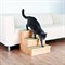 Лесенка Trixie для собак, 40 × 38 × 45 см, деревянная - фото 2005430
